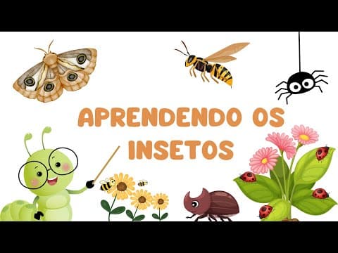 Miniatura do vídeo Vamos descobrir e aprender os insetos