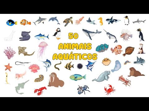 Miniatura do vídeo Descobrindo e aprendendo 50 animais aquáticos