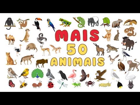 Miniatura do vídeo Descobrindo e aprendendo mais 50 animais