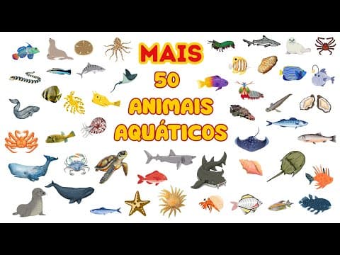 Miniatura do vídeo Descubra animais marinhos que você nunca viu